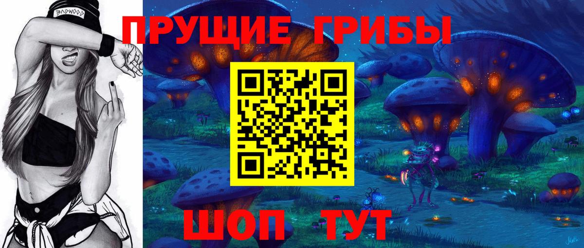 Галлюциногенные грибы GOLDEN TEACHER  Вход с VPN  Лесосибирск  Галлюциногенные грибы Psilocybine cubensis 